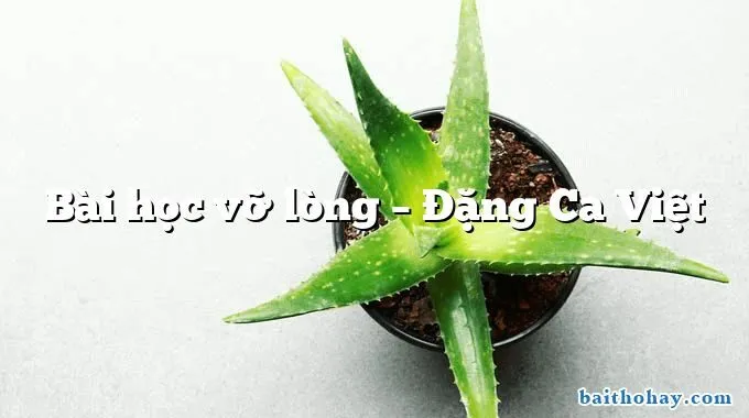 bai hoc vo long dang ca viet